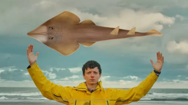 El documental filmado en Claromecó que defiende al pez guitarra, una especie en extinción