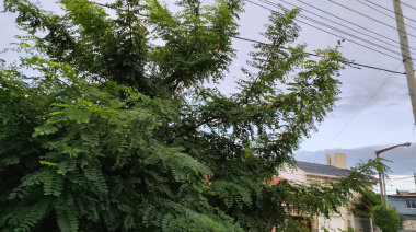 Martes con alerta amarilla: tormentas intensas y ráfagas en Necochea