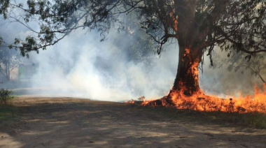 Fuego en Villa Zabala: vecinos quemaron una casilla y desataron un incendio forestal