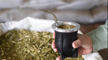 ¿Cúal es la yerba más vendida en Argentina?