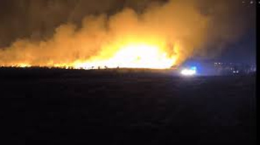 Incendio forestal en Mar del Plata: más de 200 hectáreas arrasadas