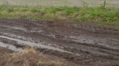 50 productores llevan a la Justicia al municipio para saber en qué se gastan la Tasas