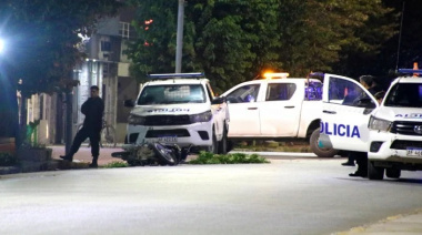 Persecución, choque y "lluvia" de plantas de marihuana en la Avenida 59