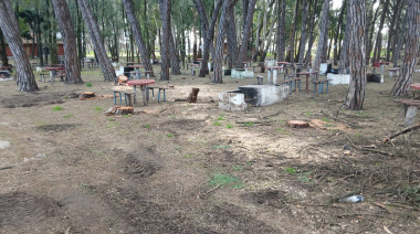 Tala de árboles en Pinolandia: avanza un proyecto sin pliegos ni control