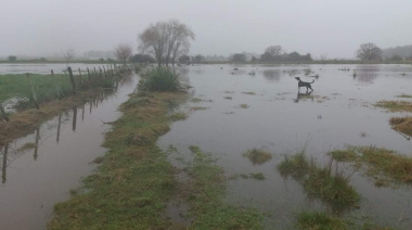 Hay más de 25.000 hectáreas inundadas en Necochea