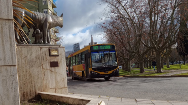 La licitación quedó desierta y no hay empresas interesadas en los colectivos de Necochea