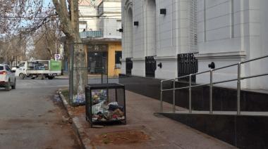 Denuncian a cuatro funcionarios por la tala irregular de árboles y maniobras en el expediente