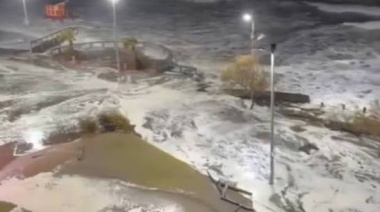 Sudestada en la Costa: apagones, árboles caídos y alerta en el sudeste