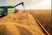 Advierten que los ajustes del Gobierno en el sector agropecuario producirán "consecuencias catastróficas"