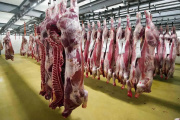 Dura Respuesta de Chile: Prohíbe Carne Ovina Argentina por Temor a la Fiebre Aftosa