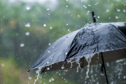 Registros de Lluvias en Necochea y la Región: Más de 30 mm Caídos Este Miércoles