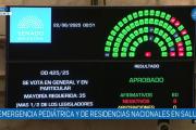 El Senado Aprobó la Ley de Financiamiento Universitario y la Emergencia Pediátrica, y Rechazó Decretos de Milei