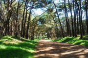 Pronóstico del tiempo: miércoles con temperaturas frescas en Necochea y Quequén