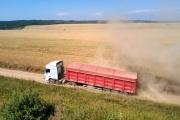 Transporte de Granos en Argentina es un 30% Más Caro que en Brasil y EE. UU.