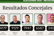 Elecciones en Necochea: Con Datos Provisorios, La Libertad Avanza se Impone y Fuerza Patria es la Sorpresa