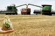 El Gobierno liquidó casi la mitad de divisas del agro para contener el tipo de cambio