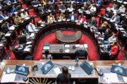 Revés al Ejecutivo: Diputados aprobó la nulidad del Decreto que suspendió la Ley de Emergencia en Discapacidad