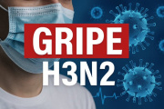 Detectan el H3N2 en Argentina
