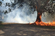 Fuego en Villa Zabala: vecinos quemaron una casilla y desataron un incendio forestal