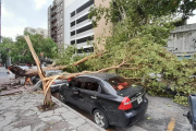 El fuerte temporal también causó estragos en Mar del Plata: árboles caídos, techos volados y sin clases