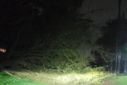 Caída de árboles, voladuras de techos y cortes de luz en Necochea y Quequén