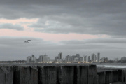 Clima en Necochea: lunes con mucha neblina y leve aumento de temperatura
