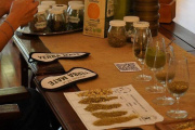 Argentina organiza el primer Mundial de la Yerba Mate en Buenos Aires