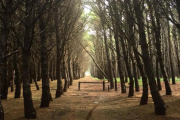 Se esperan lluvias aisladas y baja temperatura en Necochea y Quequén