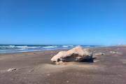 Vientos fuertes en Necochea y Quequén: el clima de hoy