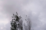 Jueves con ascenso de temperaturas, nubosidad variable y vientos del oeste