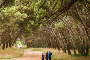 El pronóstico para este miércoles en Necochea y Quequén